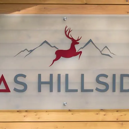 Hillside Hintermoos Daire Maria Alm am Steinernen Meer